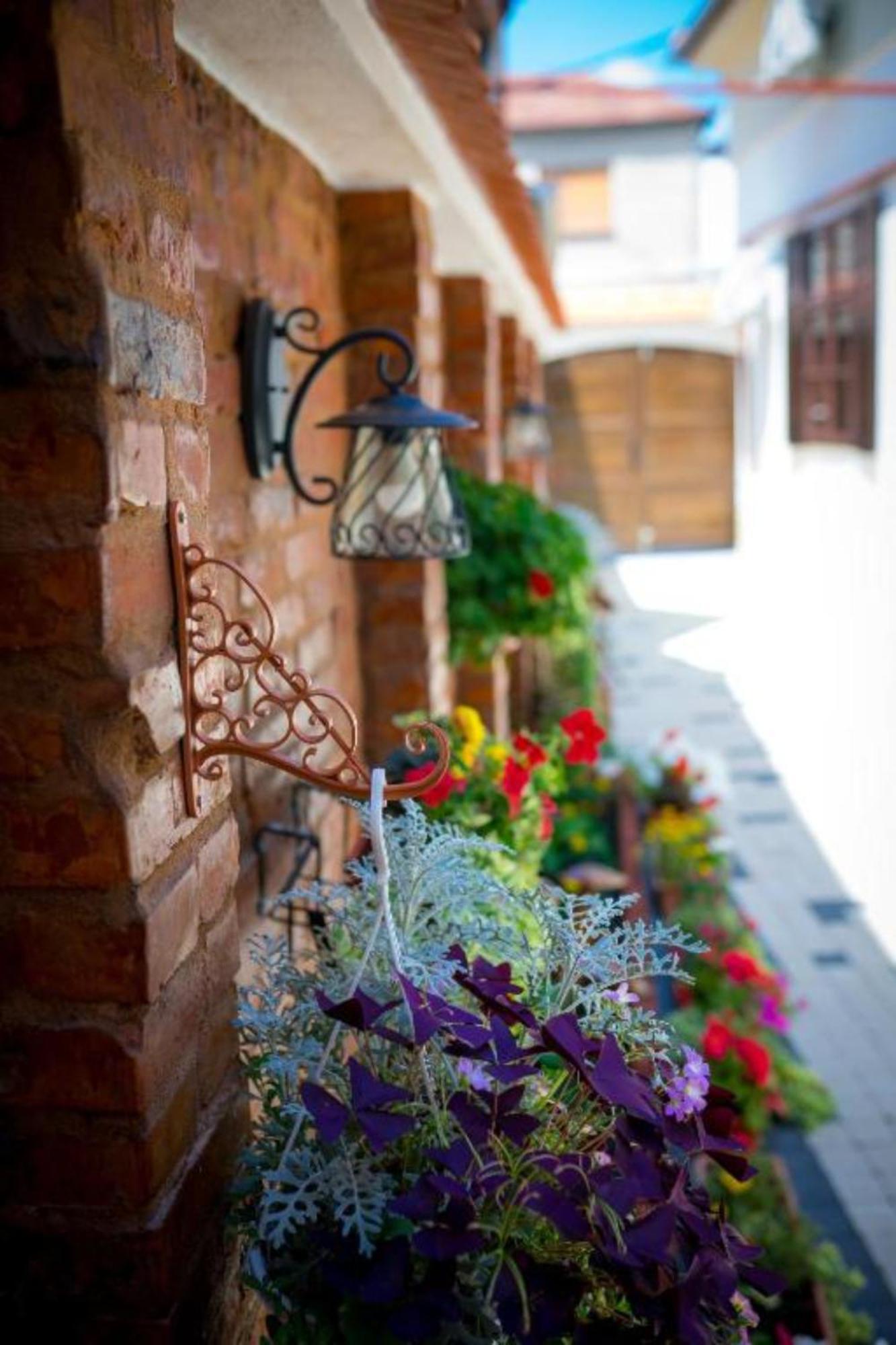 Cochet House Sibiu Lejlighedshotel Eksteriør billede